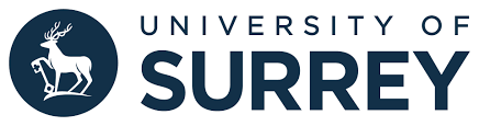 UNIVERSITY OF SURREY