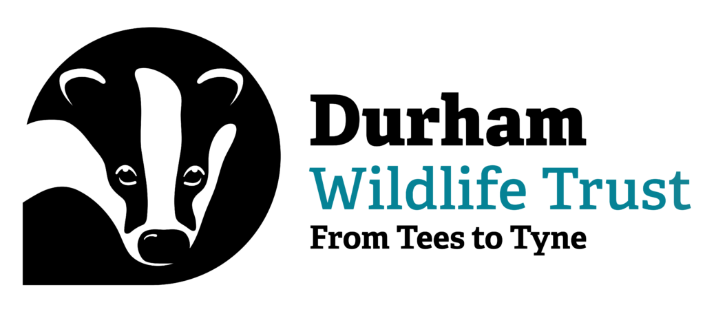 Durham Wildlife Trust